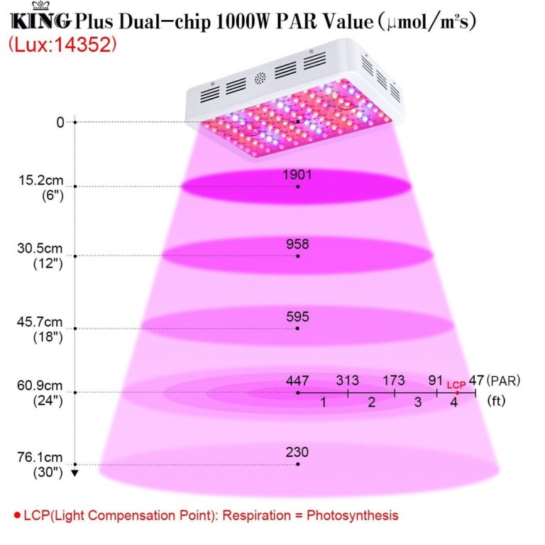 Optimisation De La Croissance Determination De La Distance Ideale Entre Les Lampes Led De Croissance Et Les Plantes.httpswww.ledhorticole.frwp contentthemesled horticoleimagesppfd