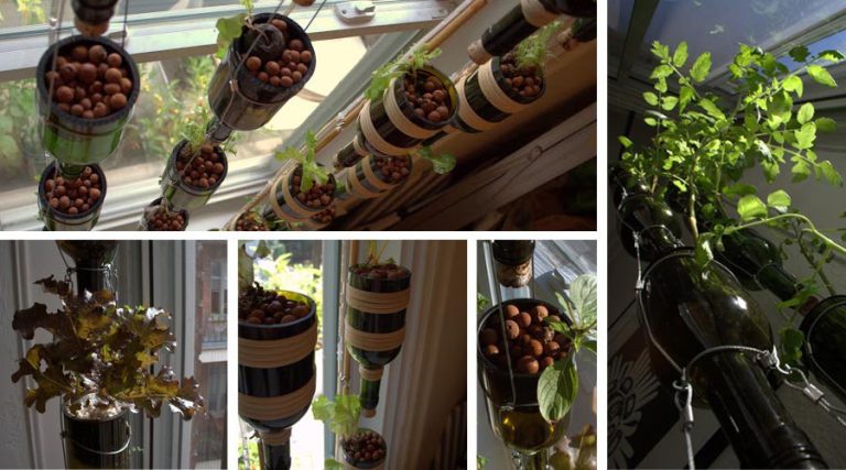 Récolte À La Maison : Cultiver Des Légumes En Intérieur Avec Un Soleil Artificiel